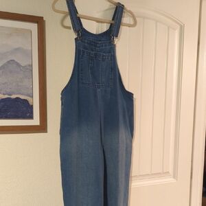 Universal Thread Women's Classic Blue Overalls